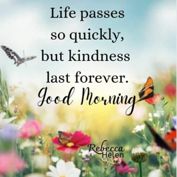 Meet your Posher, Leong - Picture 1 of 1